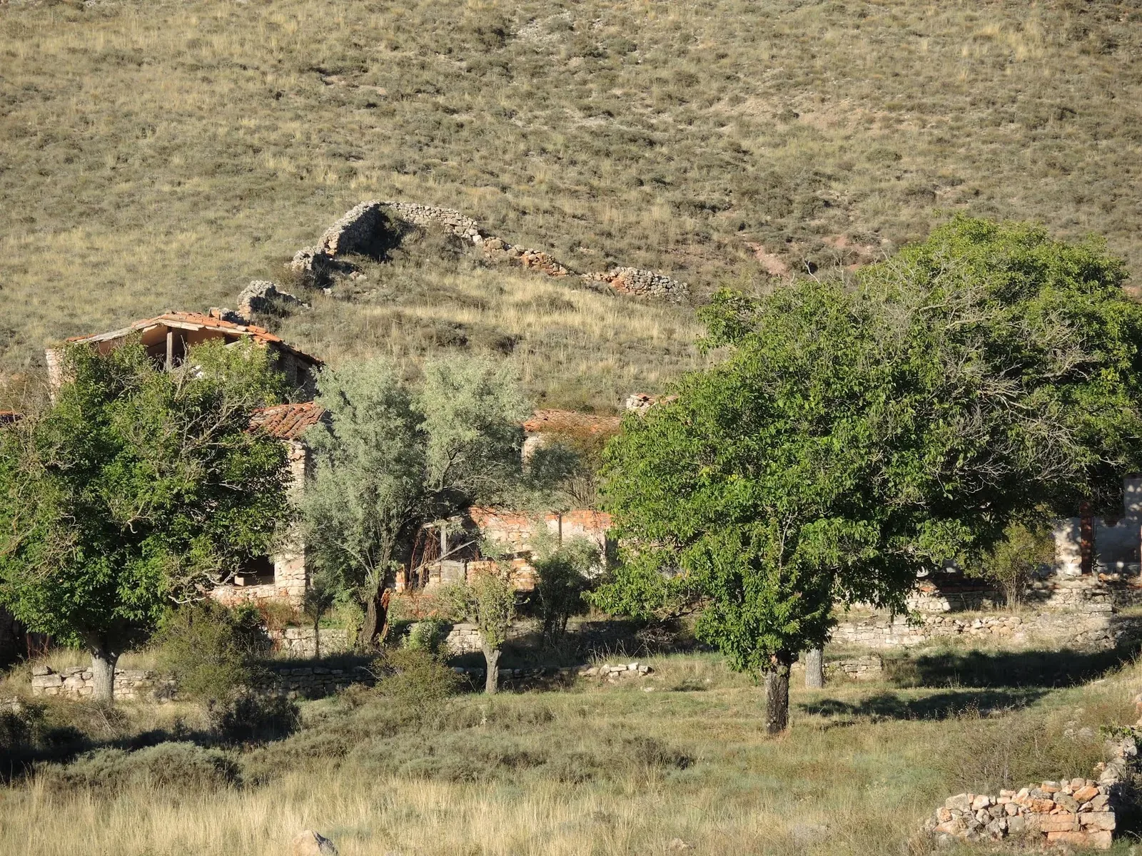 Los Nogales