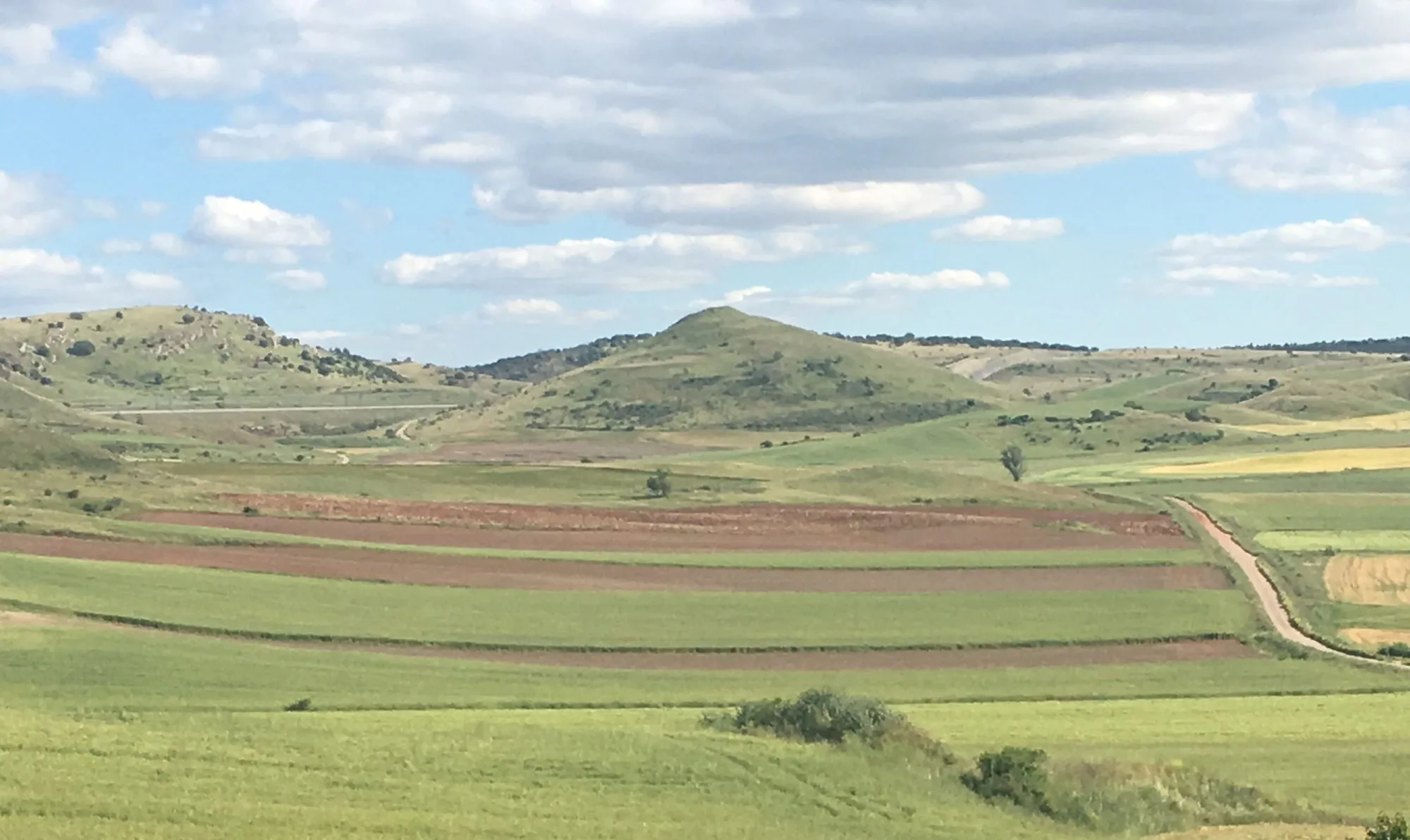 Monteagudillo