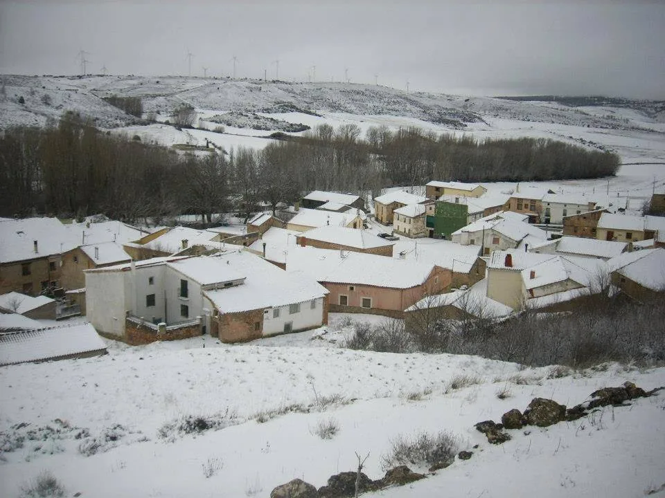 Benamira nevada