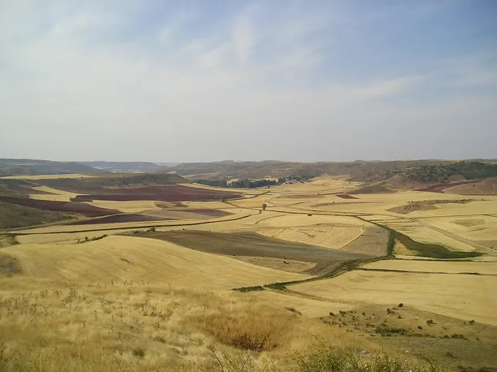 Camino del Arenal