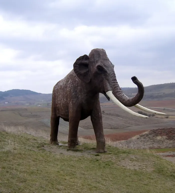 Museo del Mamut, Ambrona