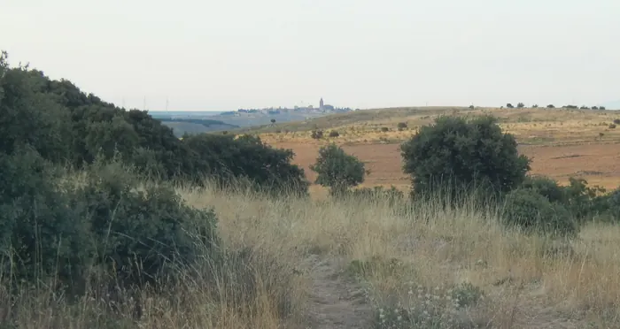 Vista de Medinaceli