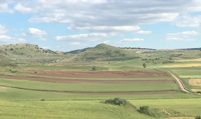 Monteagudillo