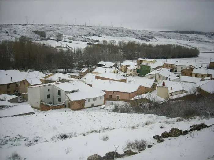 Benamira nevada