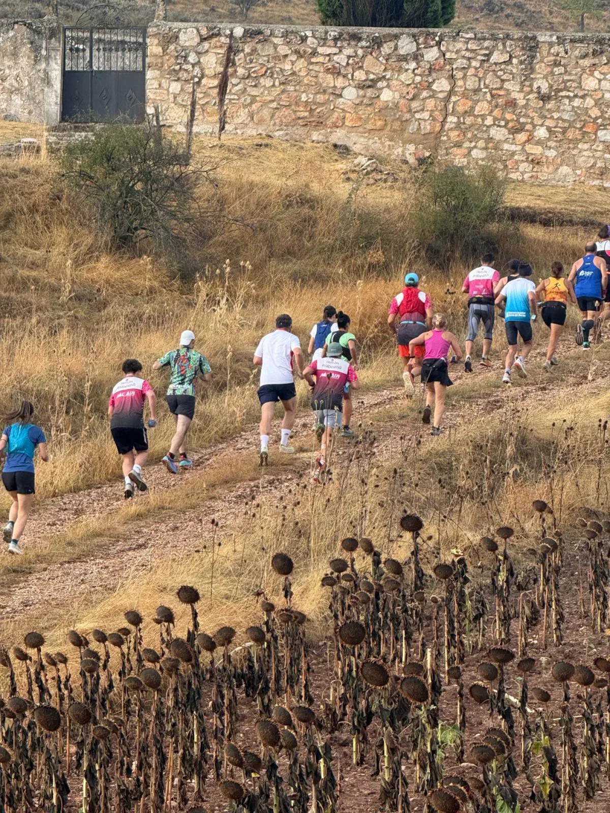 Corredores subiendo por un camino junto a un muro de piedra